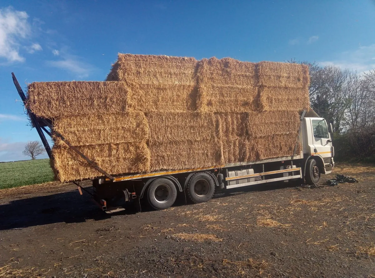 Round bales of bean straw - Image 1