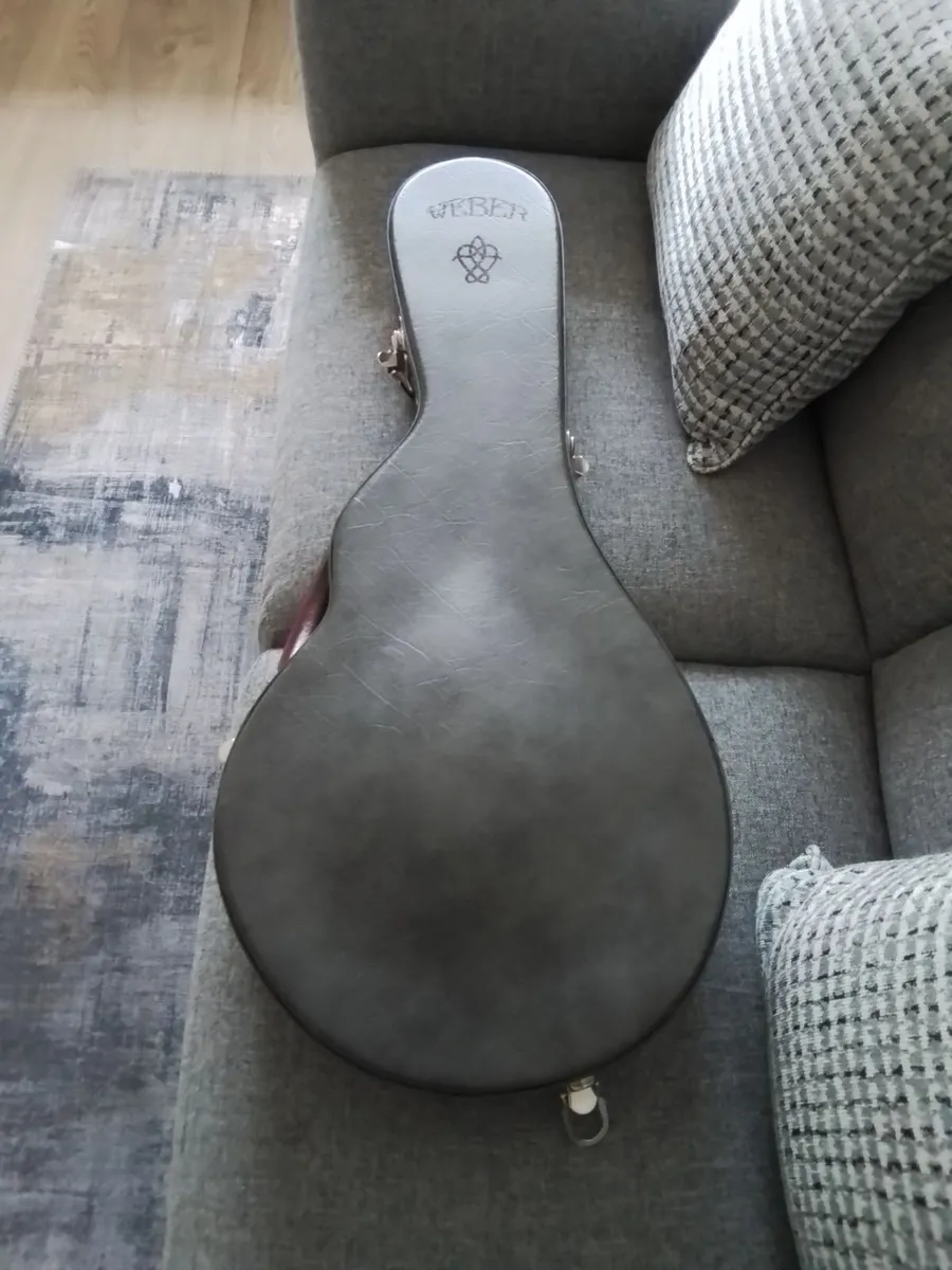 Weber yellowstone f5 mandolin - Image 2