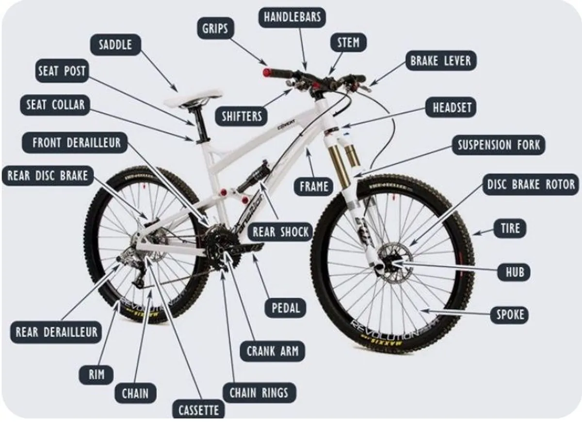 E Bike Workshop - Image 4