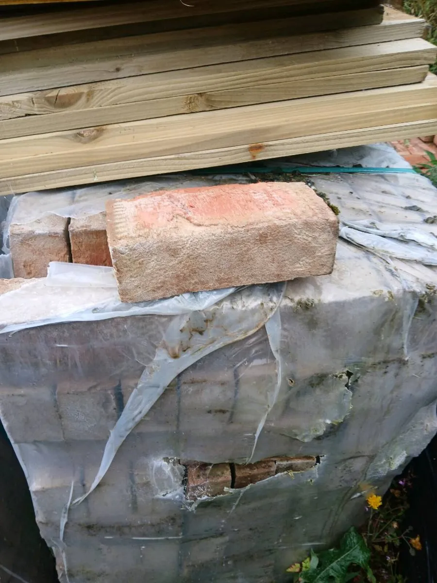 Bricks - Image 1