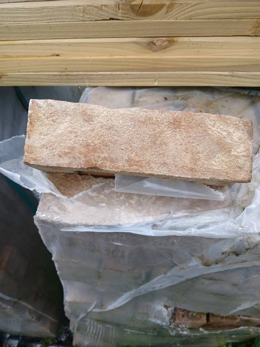 Bricks - Image 2