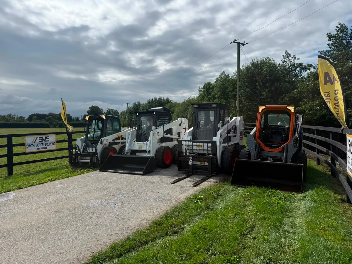 Bobcats x 4 - Image 1
