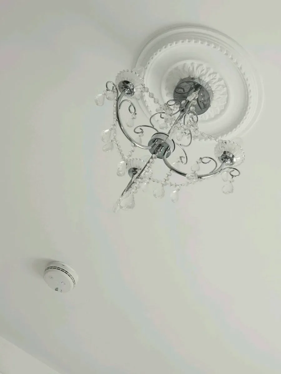 Light - Image 3