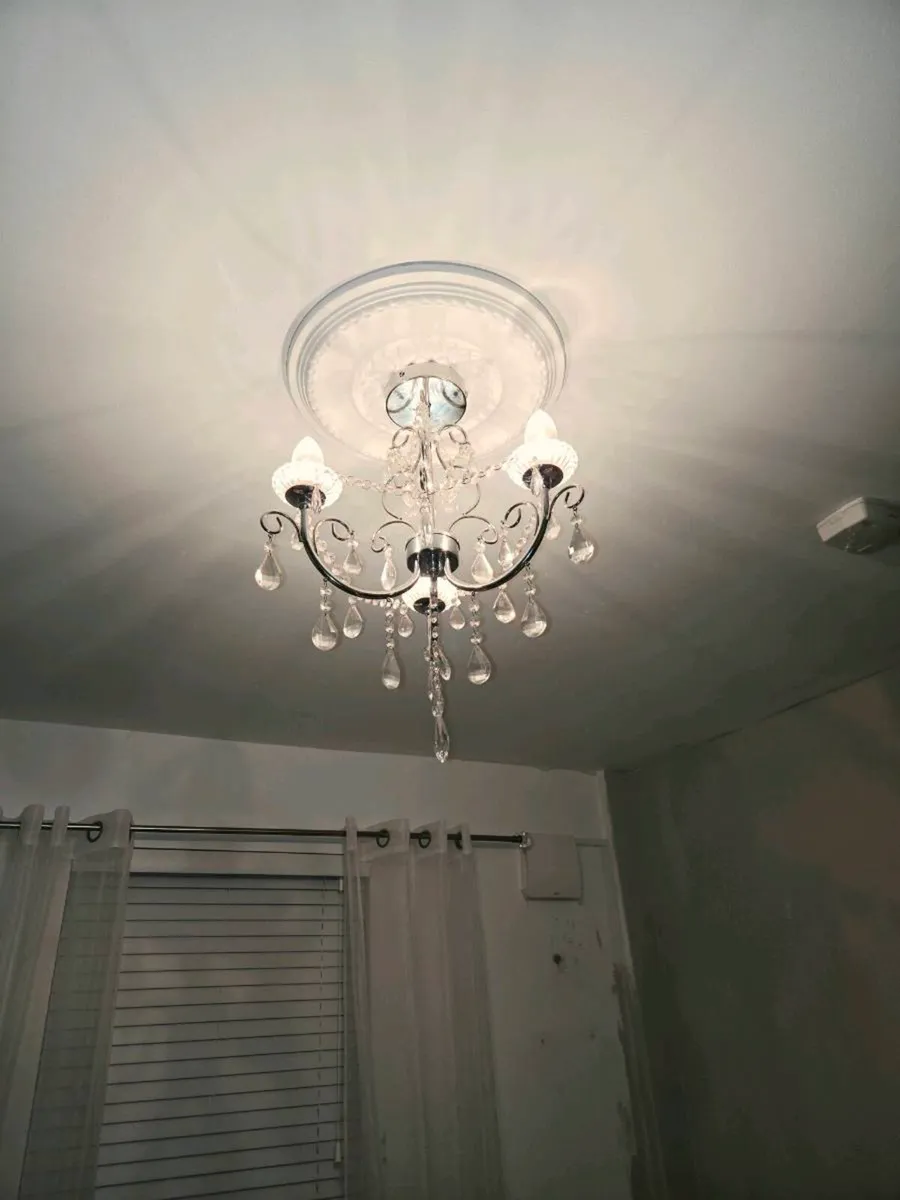 Light - Image 4