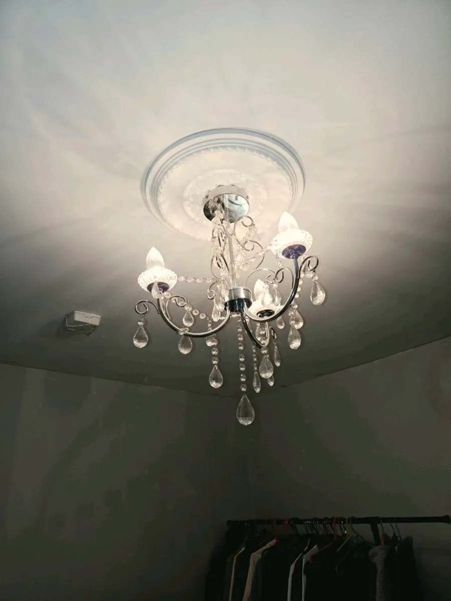 Light - Image 2