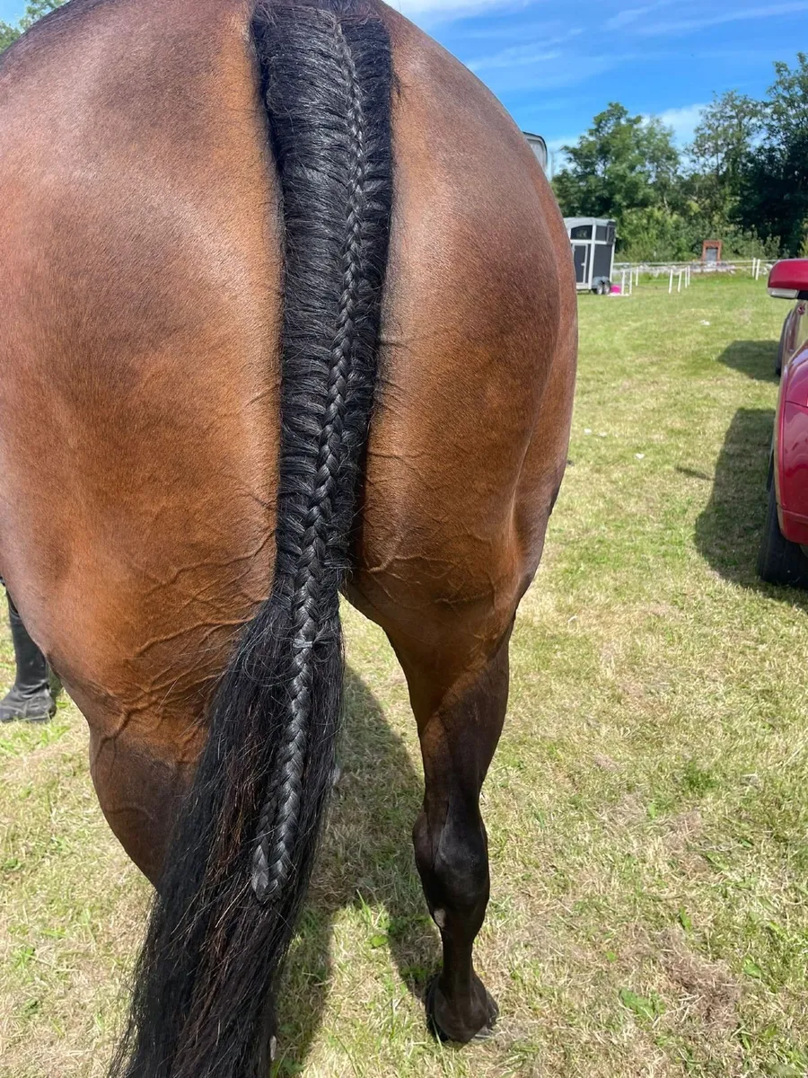 A breeders dream - Image 3