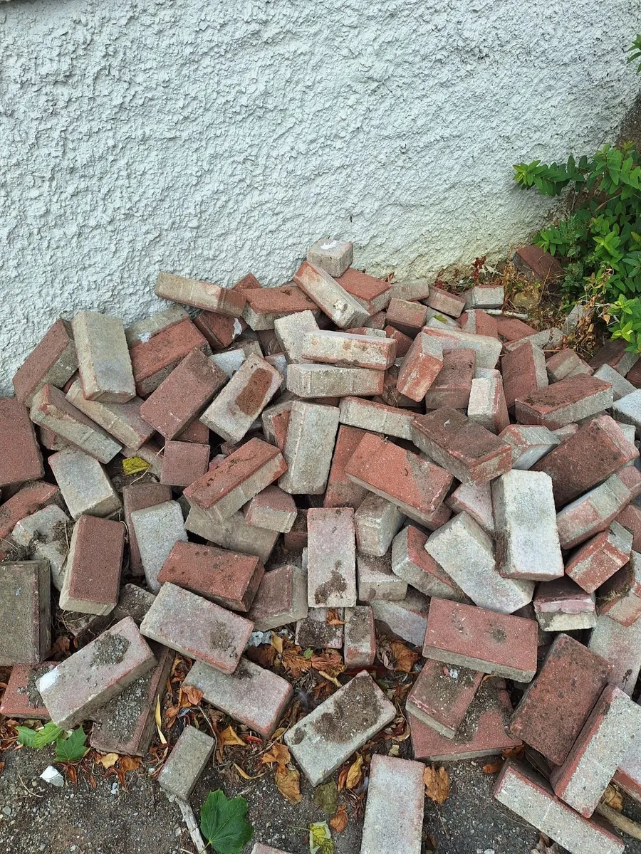 Paving bricks