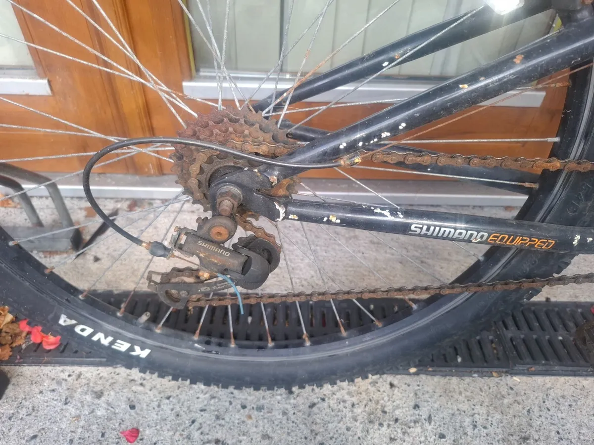 Apollo bicycle - Image 4