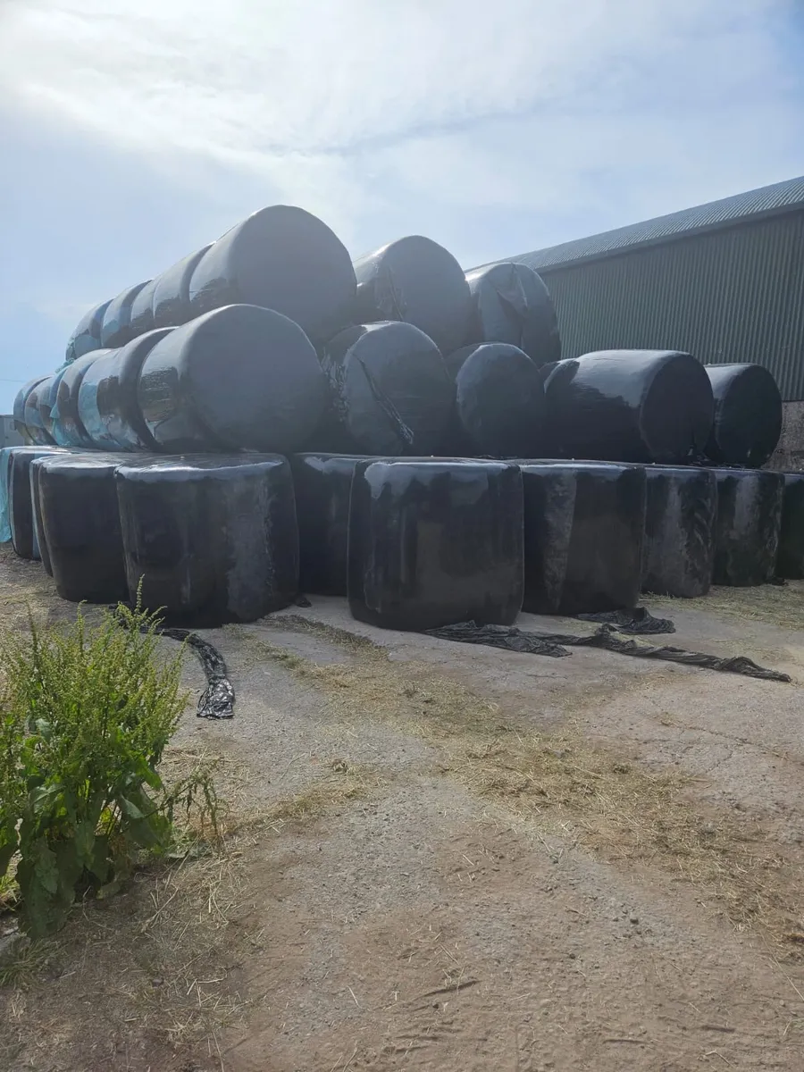 Hay and haylege round bales - Image 3