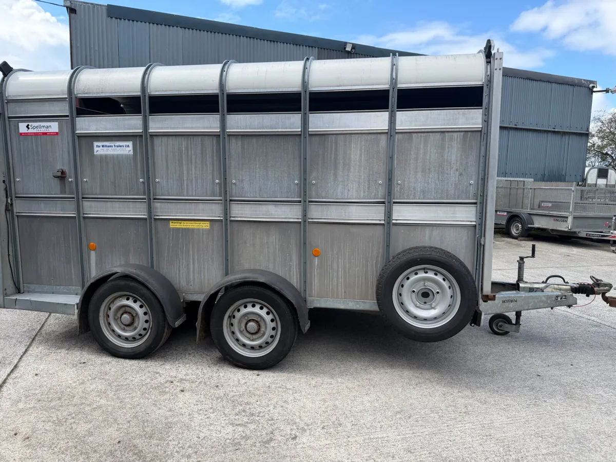 Ifor Williams livestock trailer - Image 2
