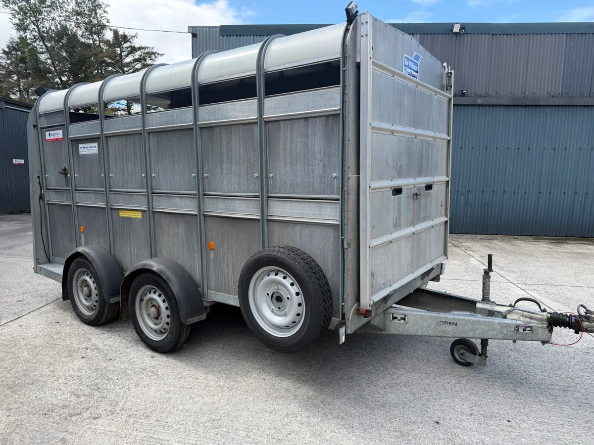 Ifor Williams livestock trailer - Image 4