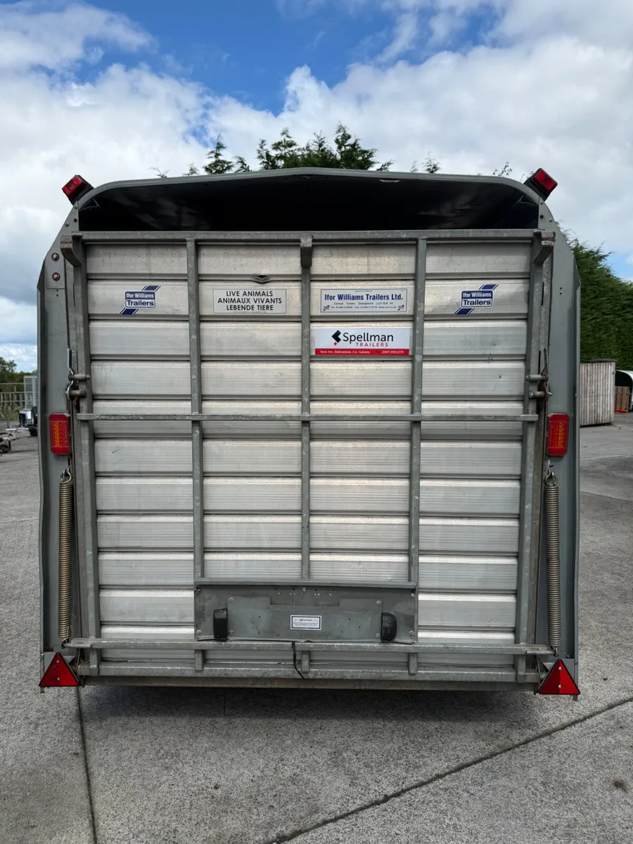 Ifor Williams livestock trailer - Image 3