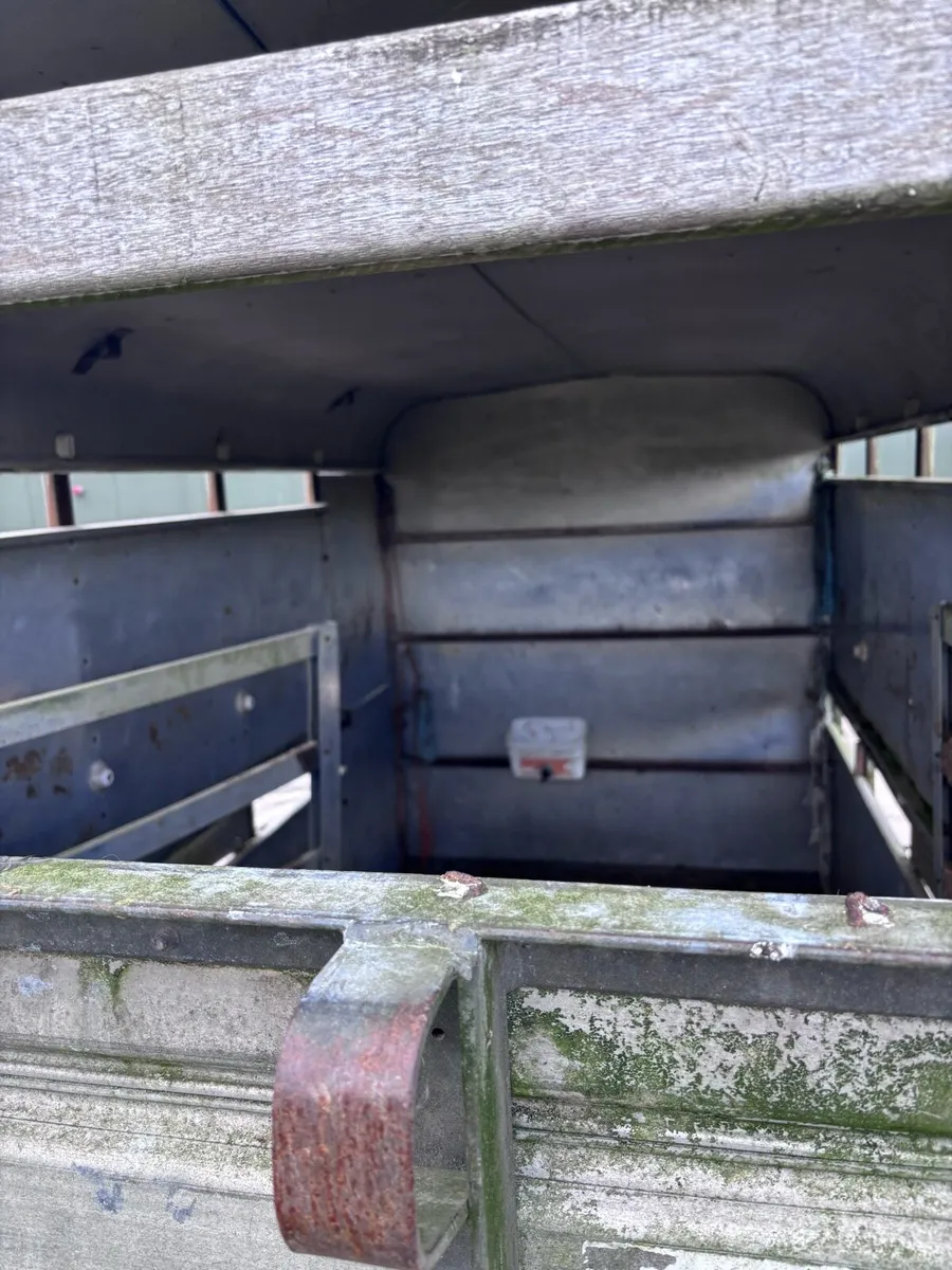 Ifor Williams 12x6 - Image 4
