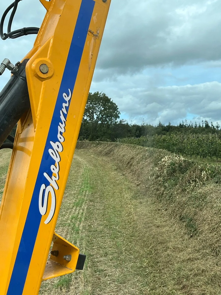 Hedge cutting service - Image 3