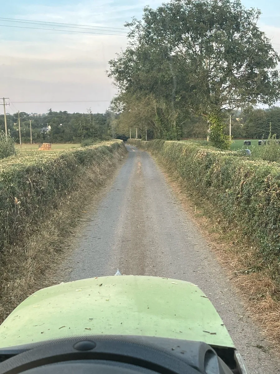 Hedge cutting service - Image 2