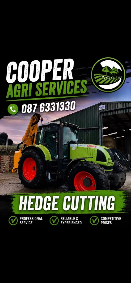 Hedge cutting service - Image 1