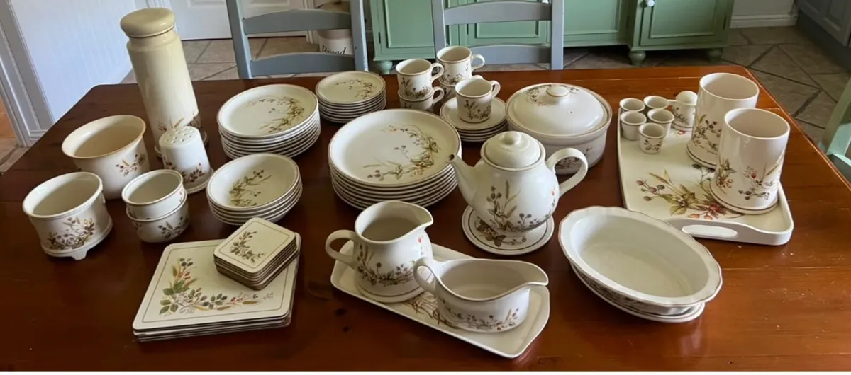 Large Vintage Harvest 1418 Dinner Set - Image 1