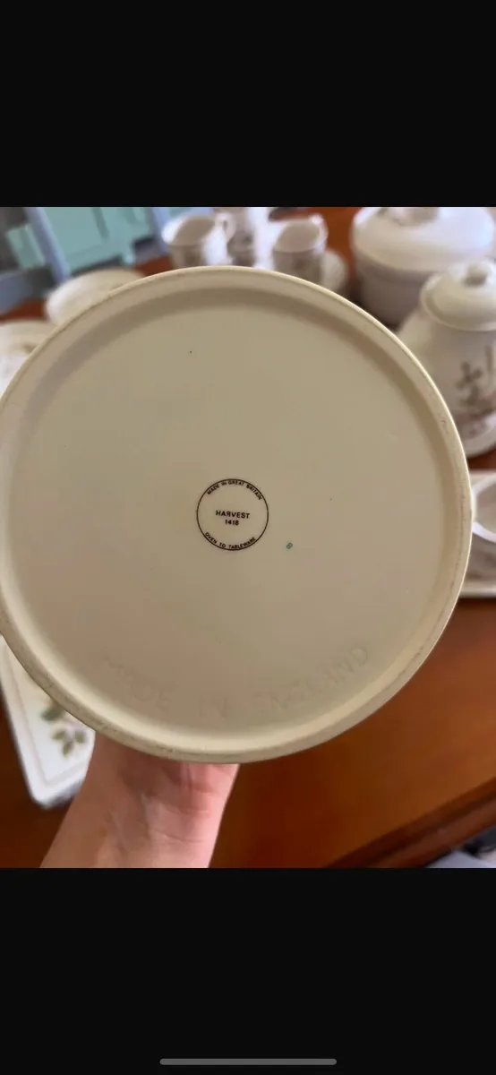 Large Vintage Harvest 1418 Dinner Set - Image 3