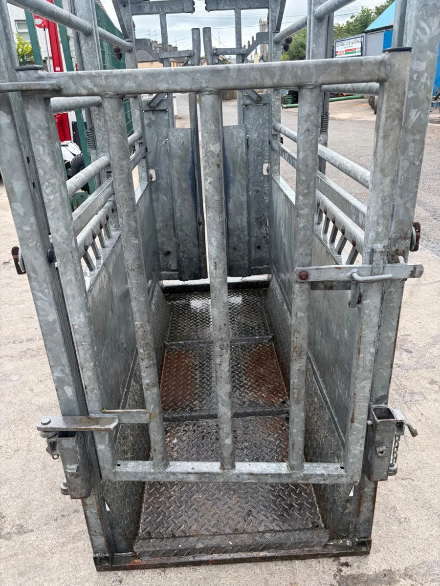 AIE Cattle Crush - Image 1