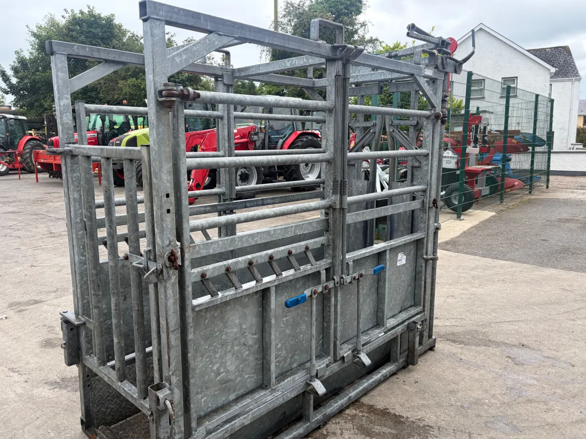 AIE Cattle Crush - Image 2