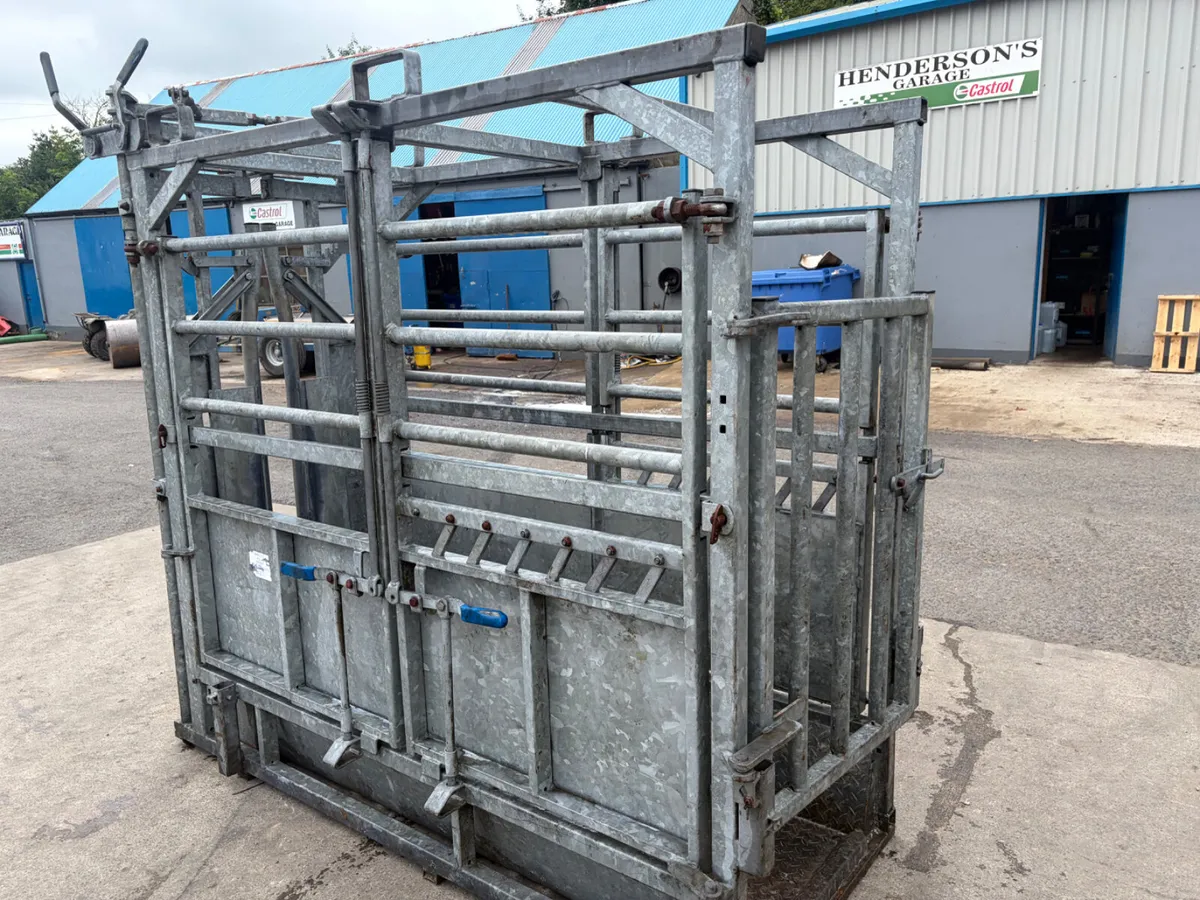 AIE Cattle Crush - Image 4