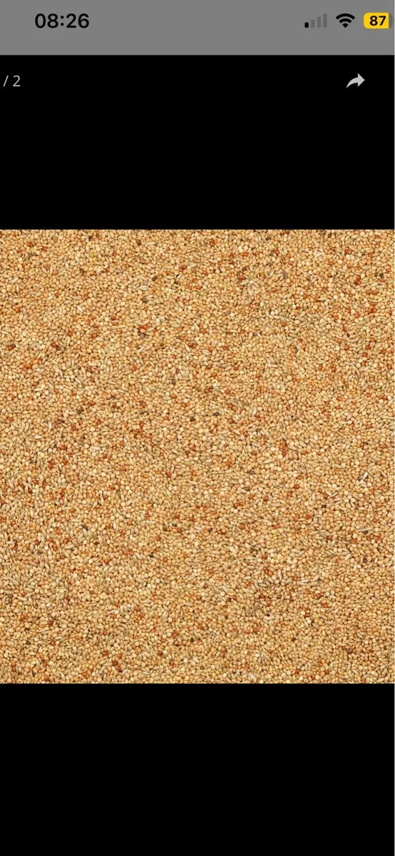 Bird seeds - Image 1