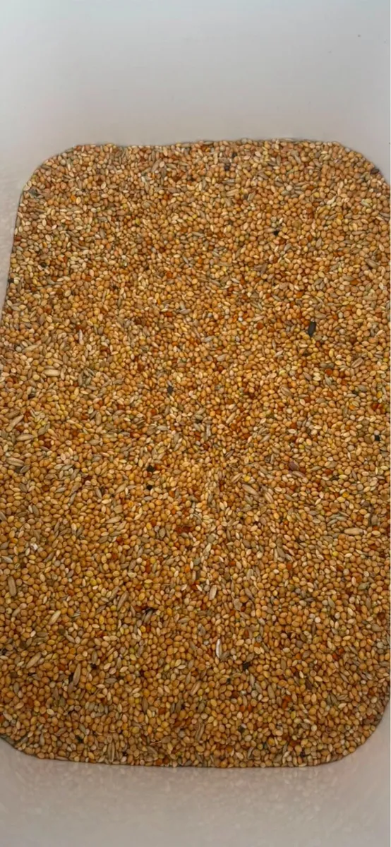 Bird seeds - Image 3