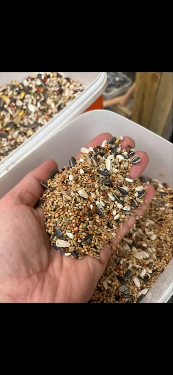 Bird seeds - Image 4