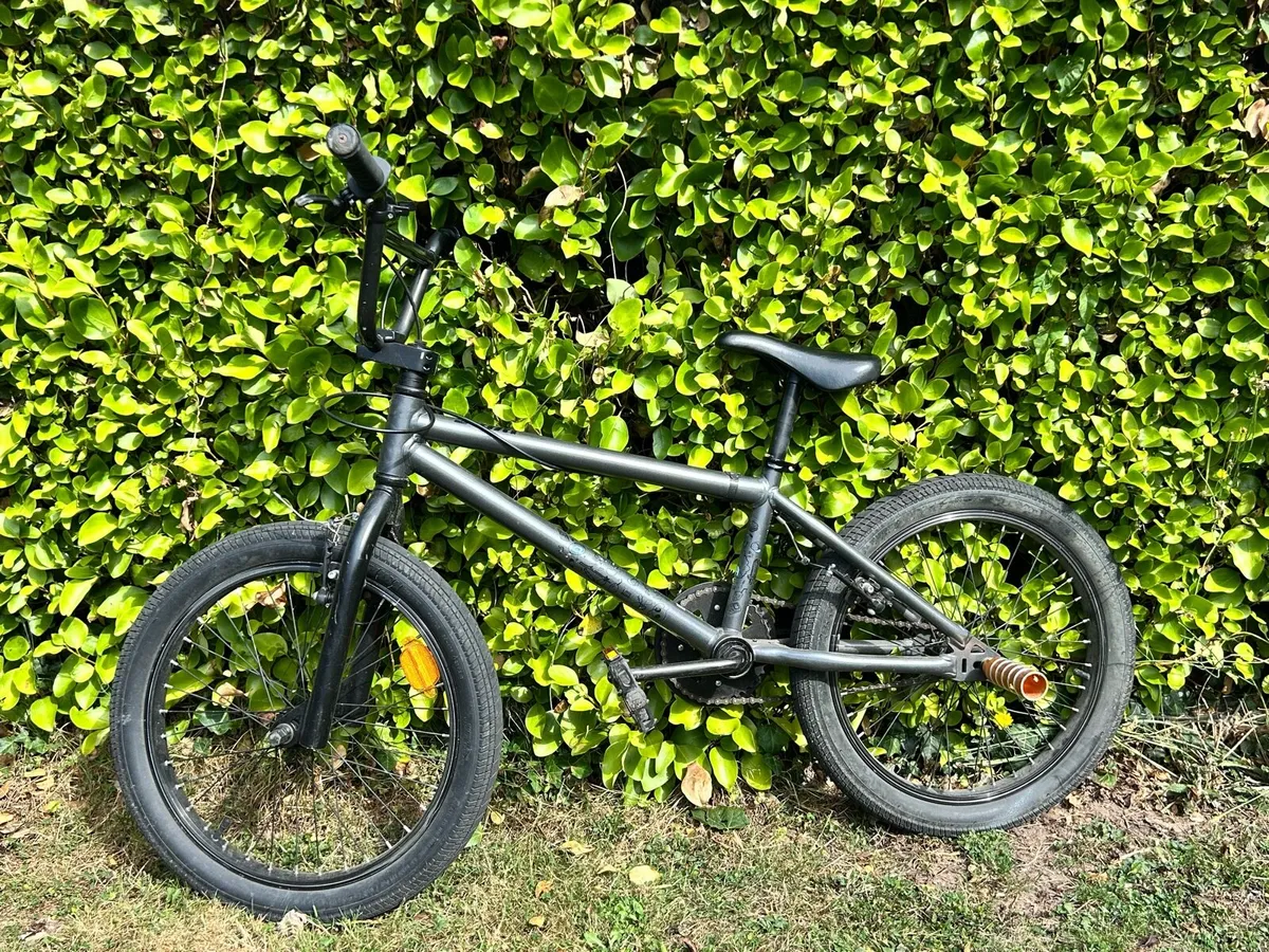BMX - Image 1