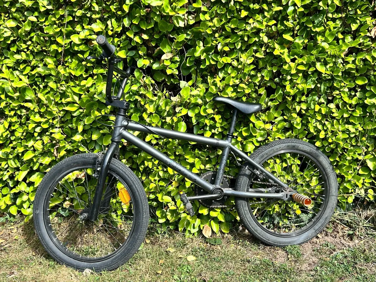 BMX - Image 2