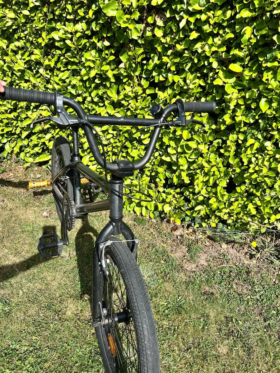 BMX - Image 4