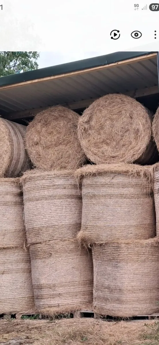 Hay and silage