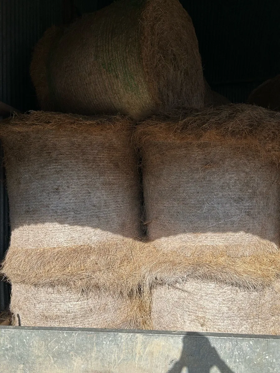 Hay - Image 1