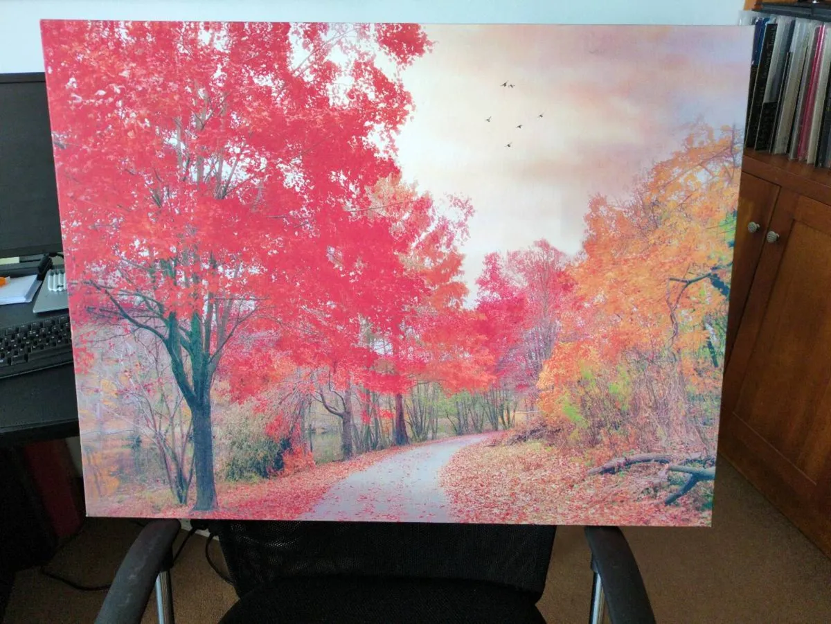Large canvas print