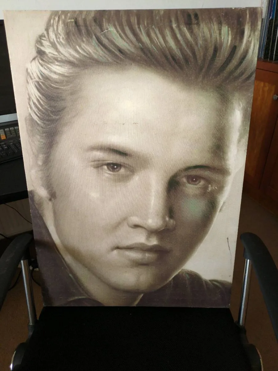 Large Elvis canvas print