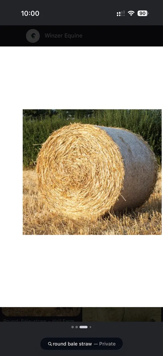 Straw