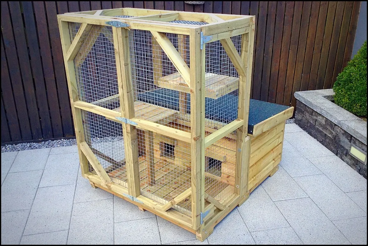 Cat/Kitten House & Enclosure - Image 1