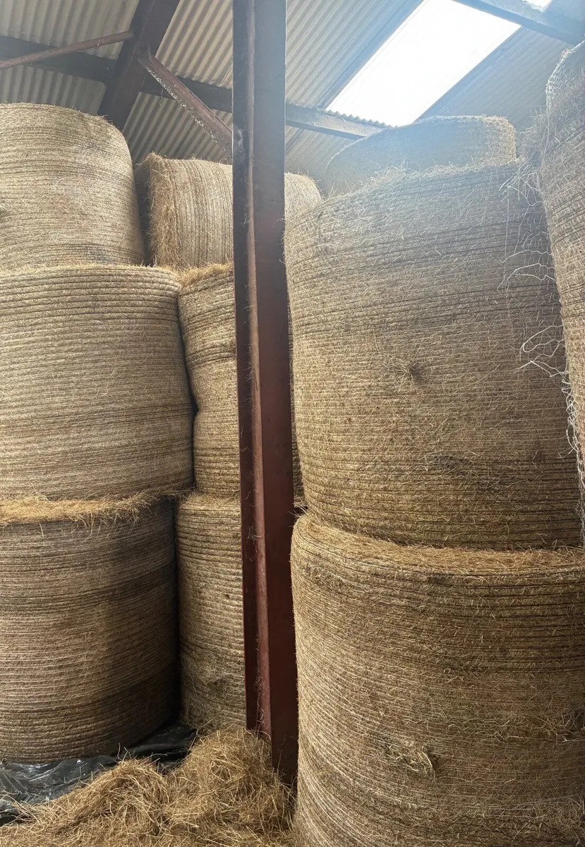 Round and small square bales of hay - Image 1