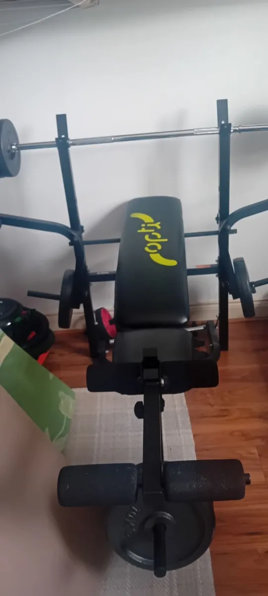 Gym bench and 2 x 10kg weights - Image 1