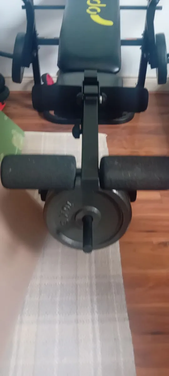 Gym bench and 2 x 10kg weights - Image 2