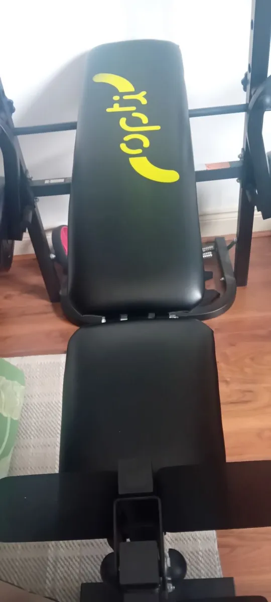 Gym bench and 2 x 10kg weights - Image 3