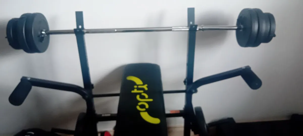 Gym bench and 2 x 10kg weights - Image 4