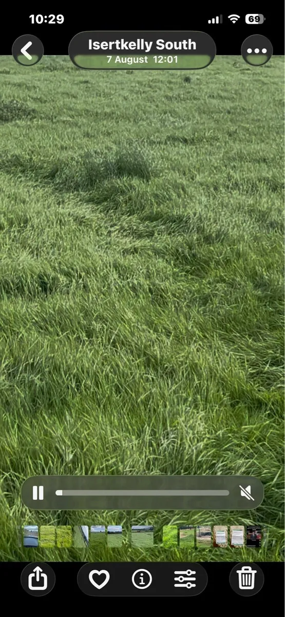 Meadow for sale