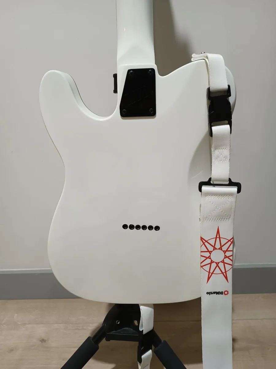 Electric Guitar ESP-LTD TE200 SW - Image 4