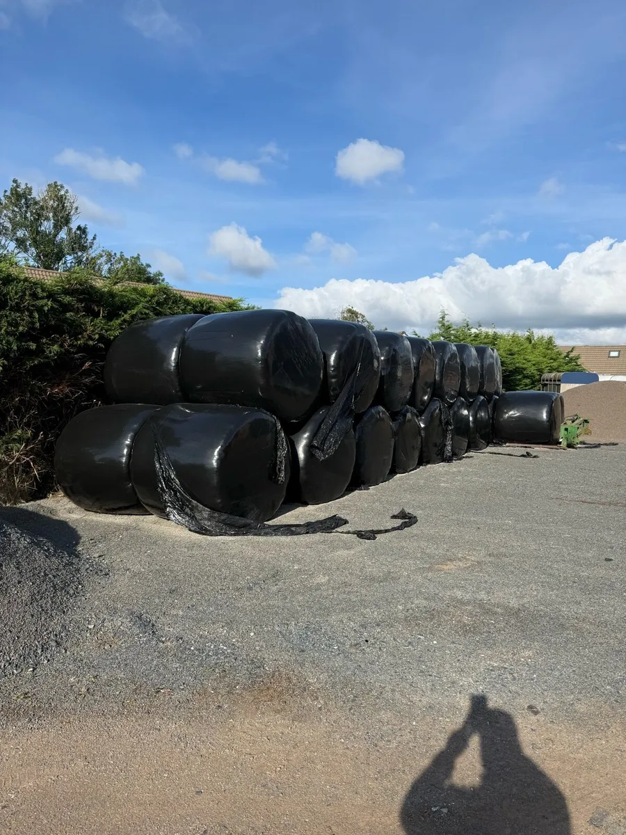 Silage bales for sale - Image 1
