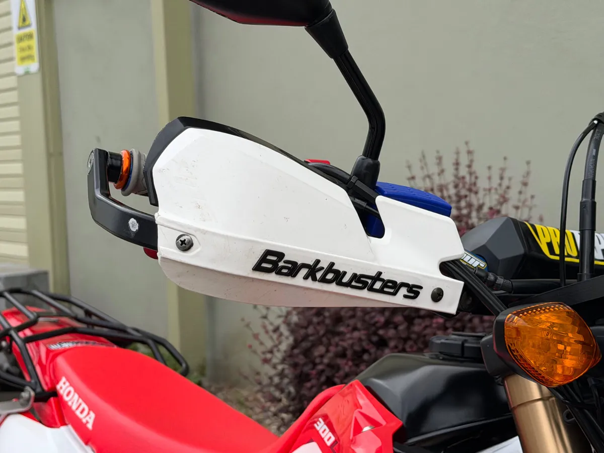 Honda CRF300L - Image 4