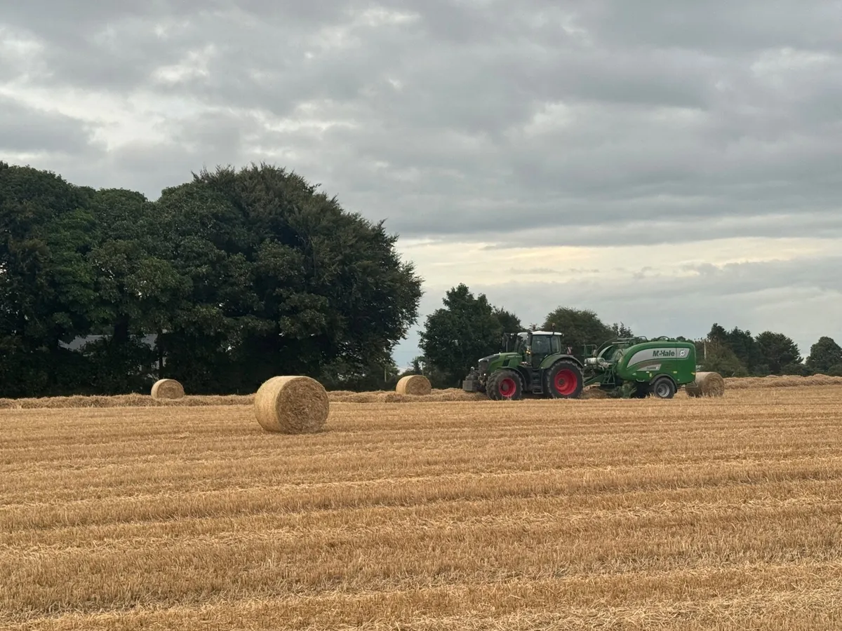Straw - Image 2