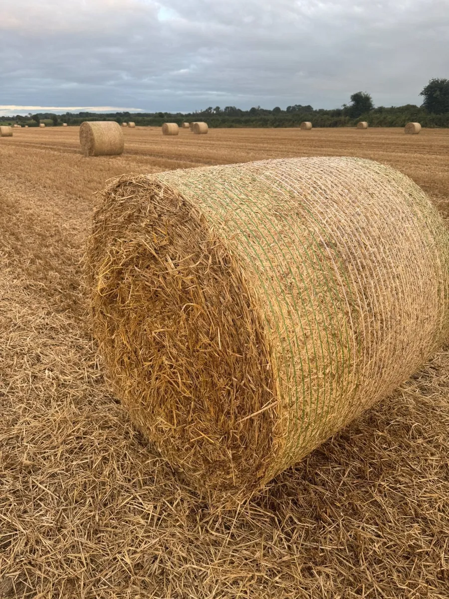 Straw - Image 1