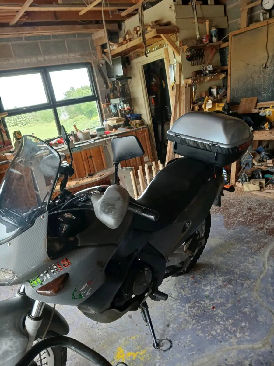 Pegaso aprilla - Image 3