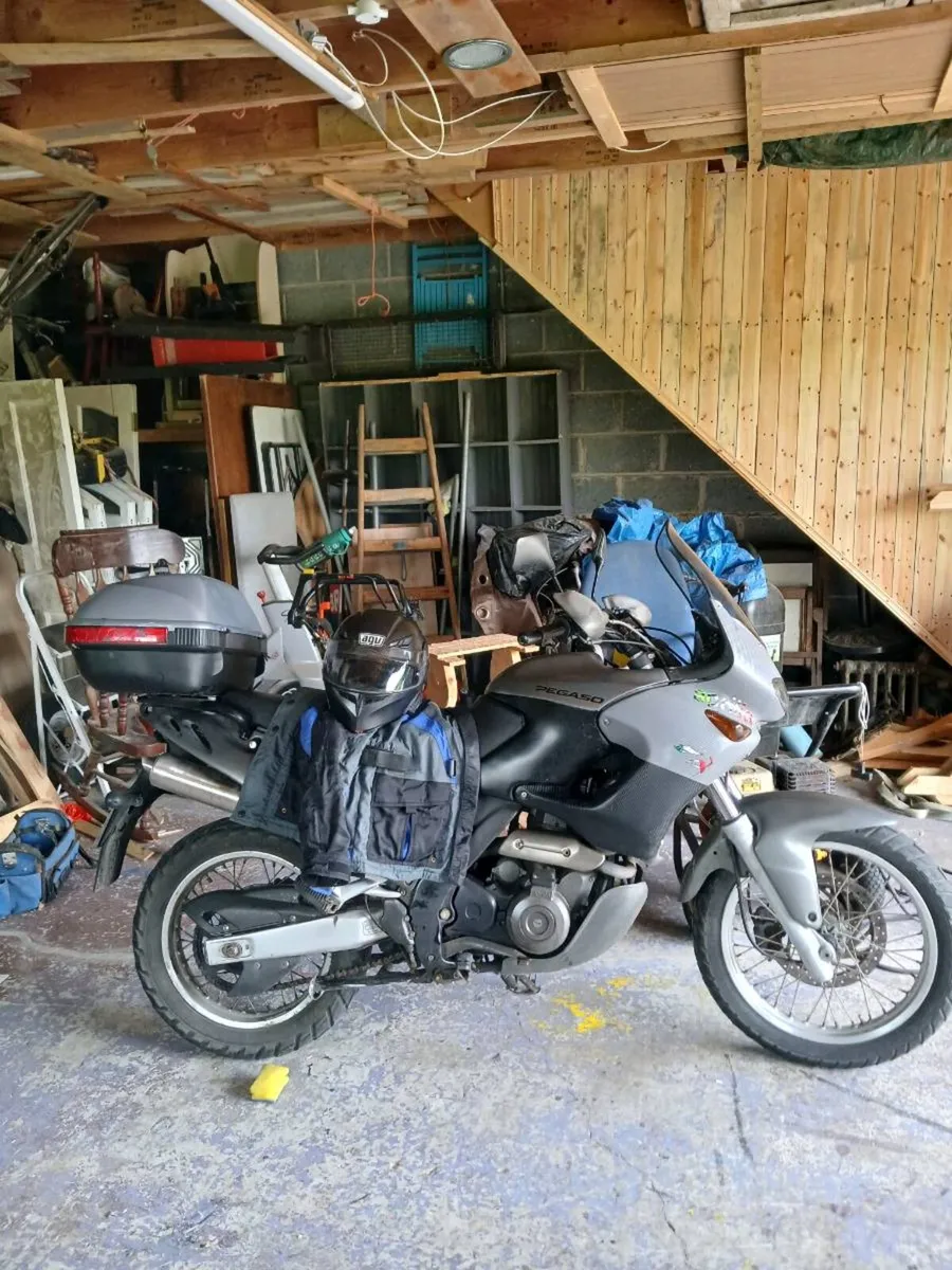Pegaso aprilla - Image 4